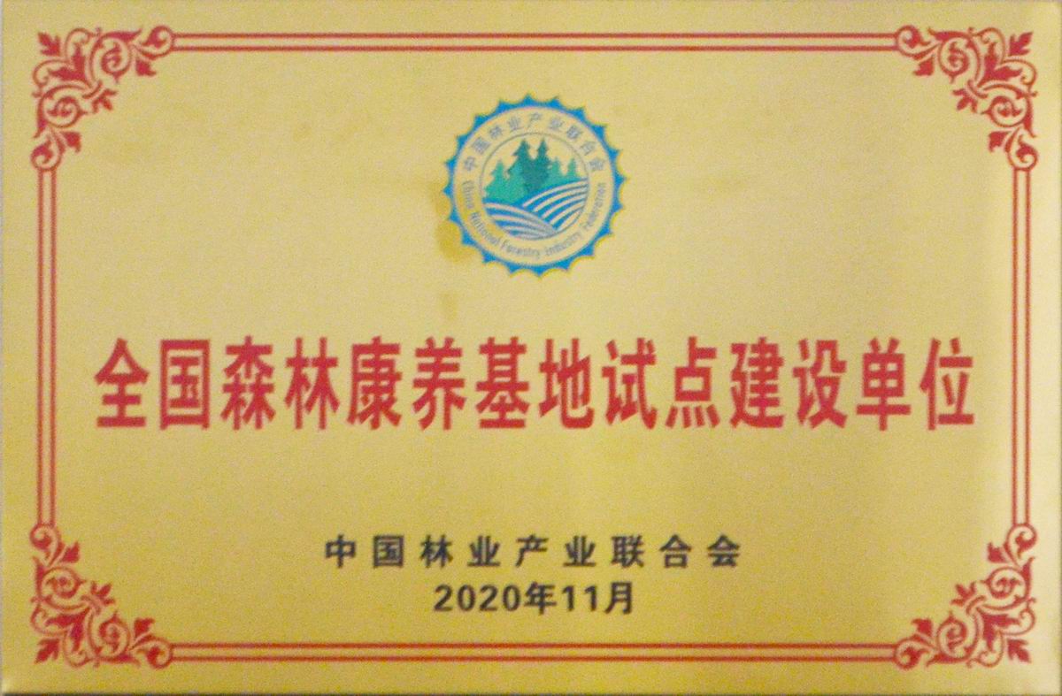 森林康美基地试点建设单位