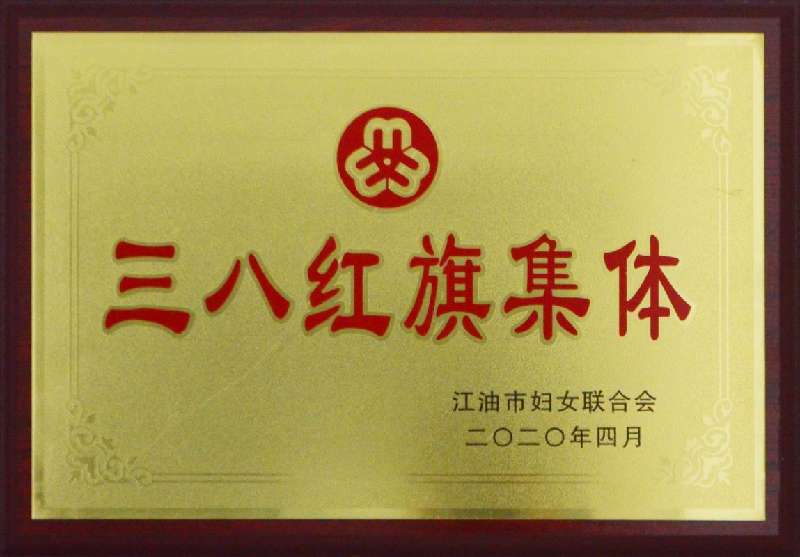 三八红旗集团